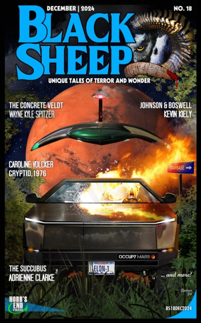 Black Sheep: Unique Tales of Terror and Wonder No. 18