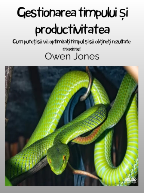 Gestionarea Timpului Și Productivitatea