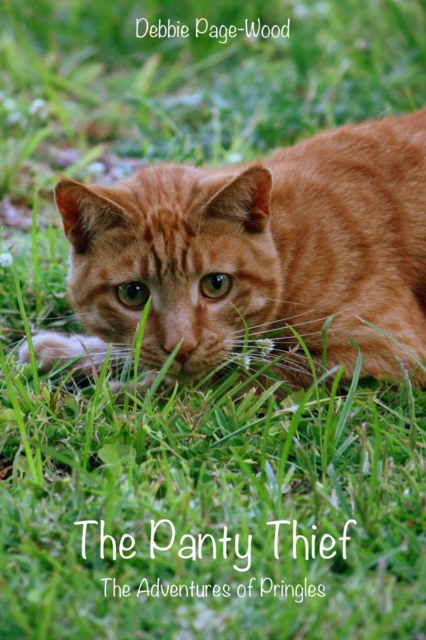 Panty Thief: The Adventures of Pringles