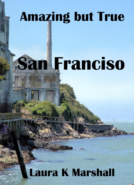 Amazing but True - San Francisco Book Three