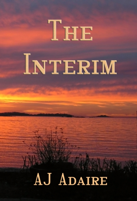 Interim