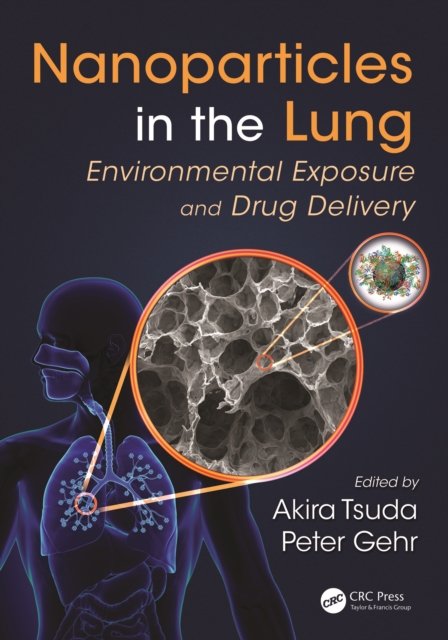 Nanoparticles in the Lung