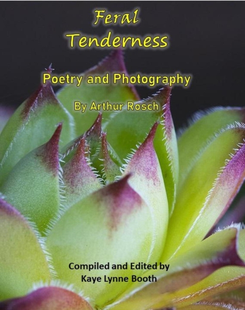 Feral Tenderness