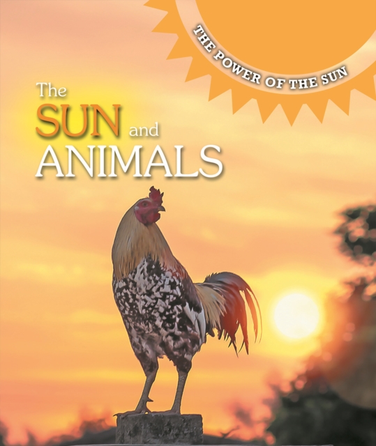 Sun and Animals