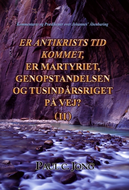 Kommentarer Og Praedikener Over Johannes' Abenbaring: Er Antikrists Tid Kommet, Er Martyriet, Genopstandelsen Og Tusindarsriget Pa Vej?