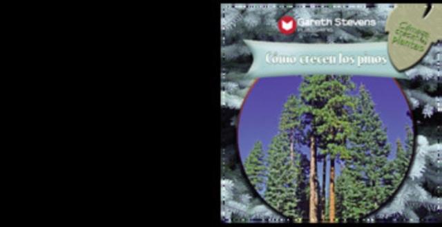 Cómo crecen los pinos (How Pine Trees Grow)