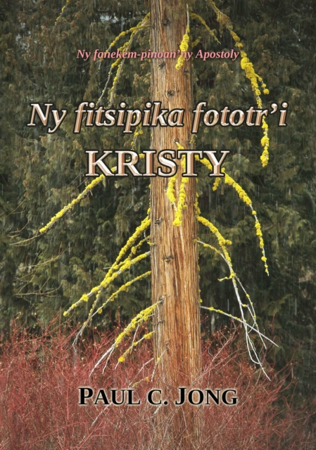 Ny fitsipika fototr'i Kristy: Ny fanekem-pinoan'ny Apostoly