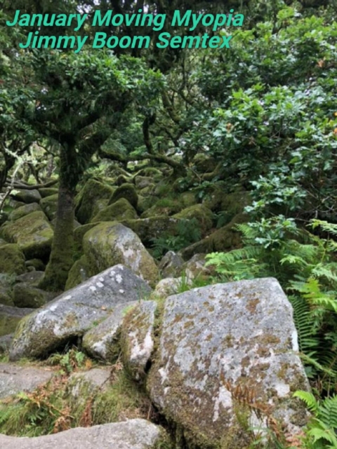 January Moving Myopia