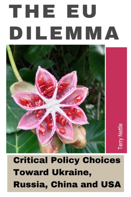EU Dilemma: EU's Critical Policy Choices Toward Ukraine, Russia, China and USA