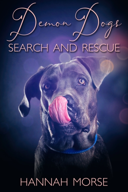 Demon Dogs Search and Rescue Box Set