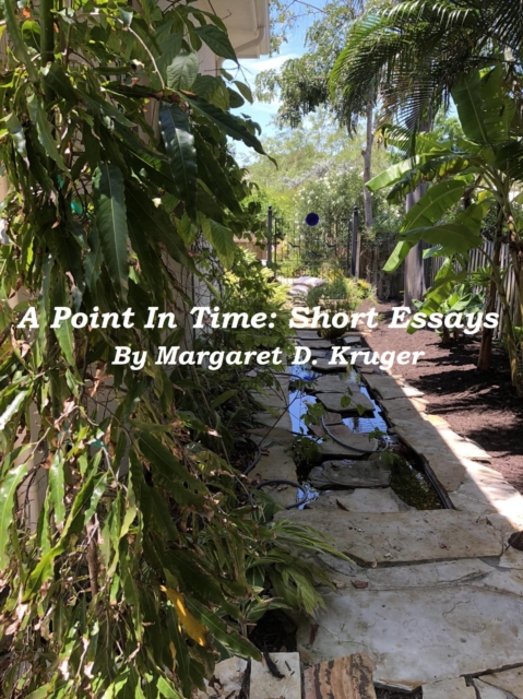 Point In Time: Short Essays