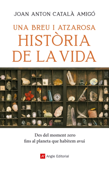 Una breu i atzarosa història de la vida