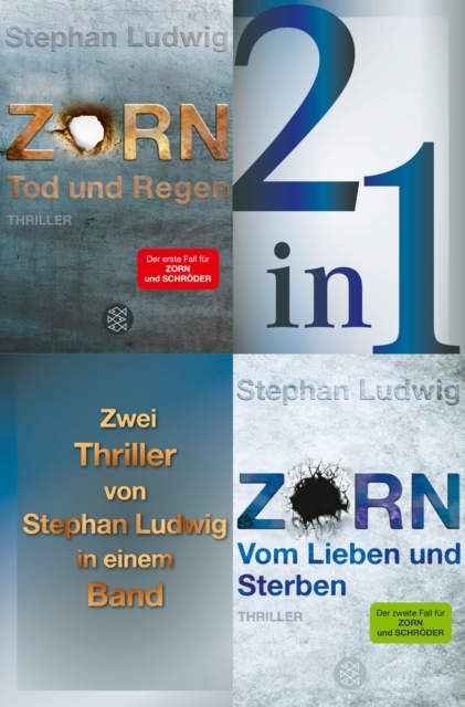 Tod und Regen / Vom Lieben und Sterben – Zwei Zorn-Thriller in einem Band