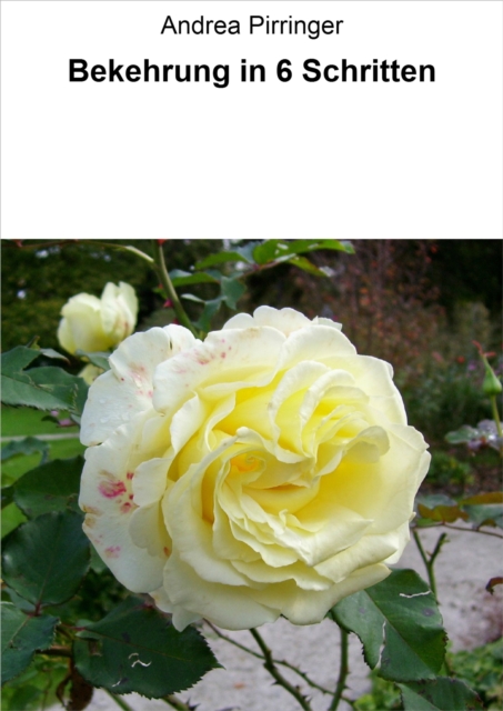 Bekehrung in 6 Schritten