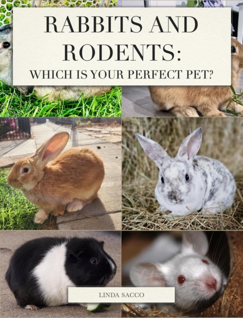 Rabbits and Rodents