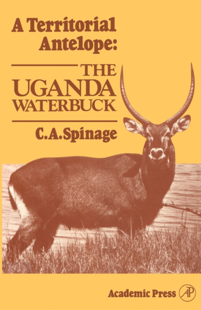 Territorial Antelope: The Uganda Waterbuck