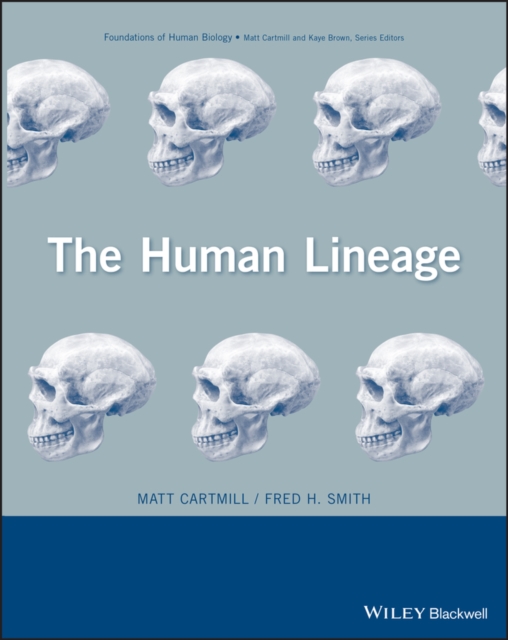 Human Lineage