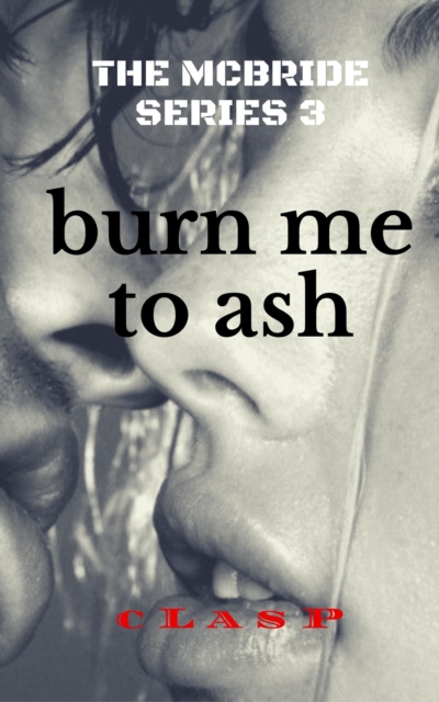 McBride Series 3 : Burn Me to Ash