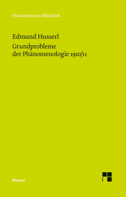 Grundprobleme der Phänomenologie 1910/11