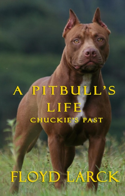 Pit Bull's Life: Chuckie's Past