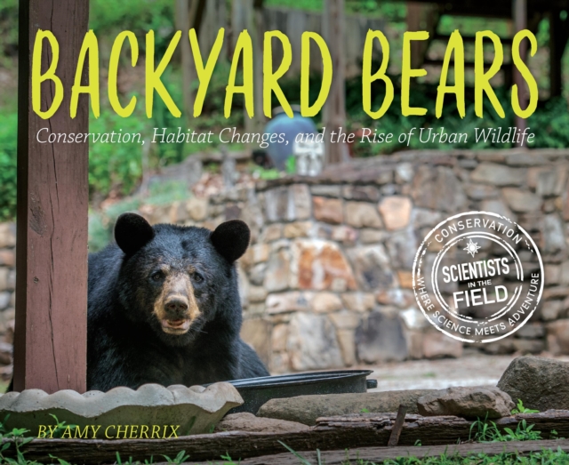 Backyard Bears