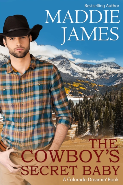 Cowboy's Secret Baby