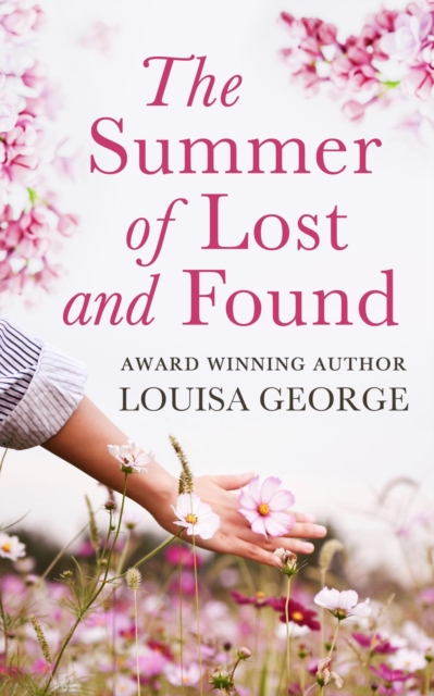 Summer of Lost and Found