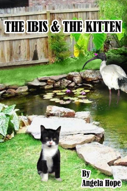 Ibis & the Kitten