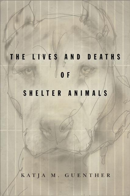 Lives and Deaths of Shelter Animals