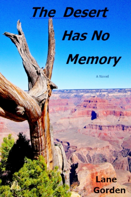 Desert Has No Memory