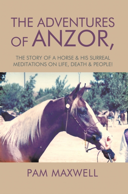Adventures of Anzor,