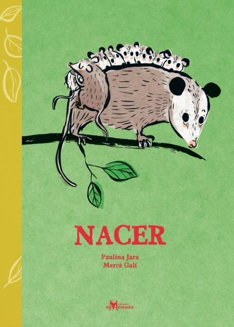 Nacer