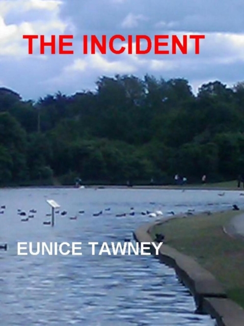 Incident