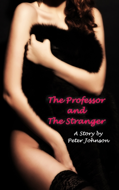 Professor and the Stranger