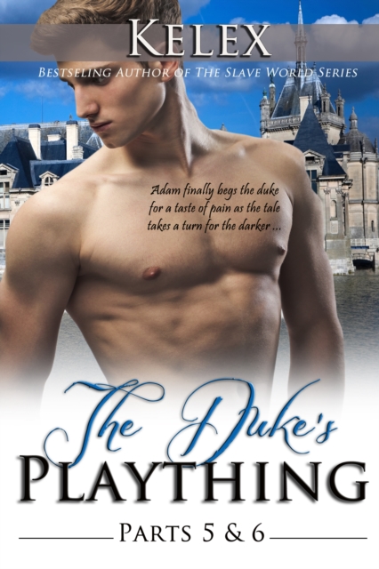 Duke's Plaything (Book V & VI)
