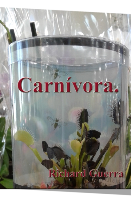 Carnivora