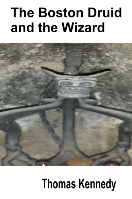 Boston Druid and the Wizard