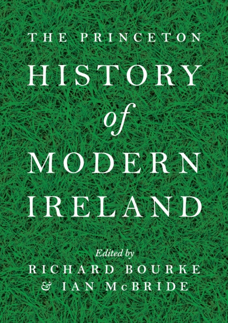 Princeton History of Modern Ireland