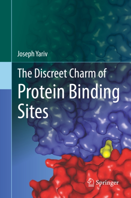 Discreet Charm of Protein Binding Sites