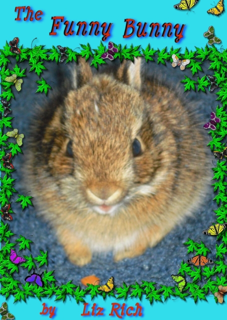 Funny Bunny