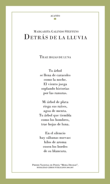 Detrás de la lluvia