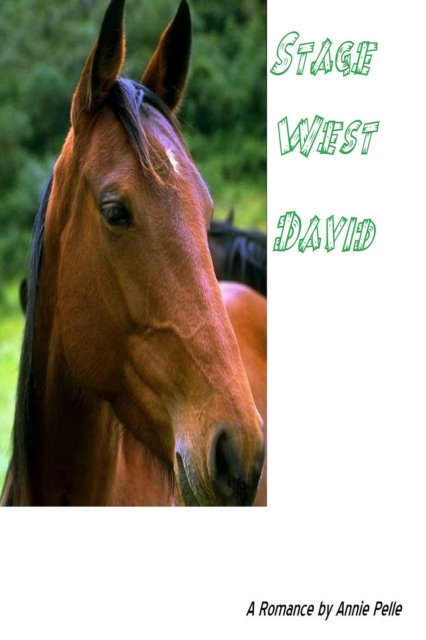 Stage West - David
