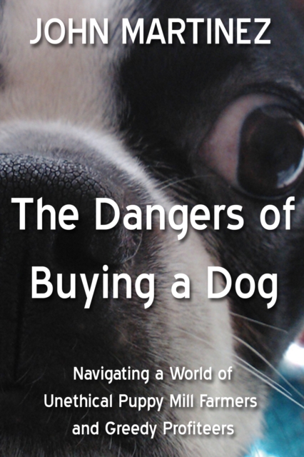 Dangers of Buying a Dog