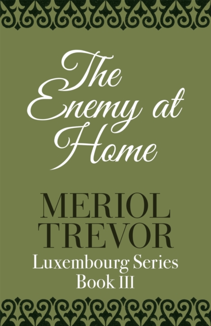 Enemy At Home