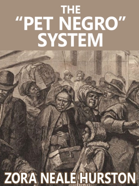 &quote;Pet Negro&quote; system