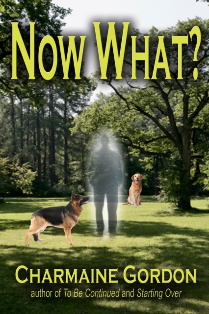 Now What?