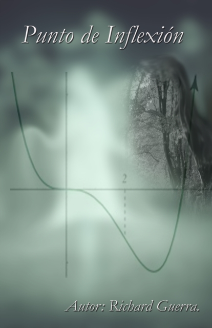 Punto de inflexion