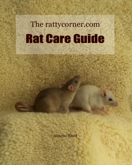 rattycorner.com Rat Care Guide