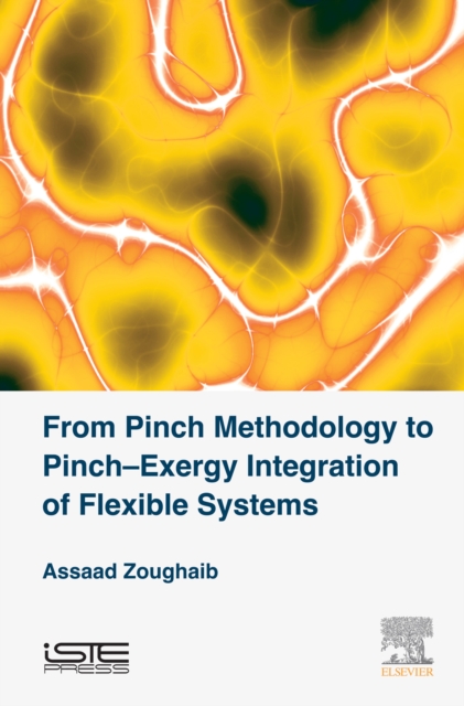 From Pinch Methodology to Pinch-Exergy Integration of Flexible Systems