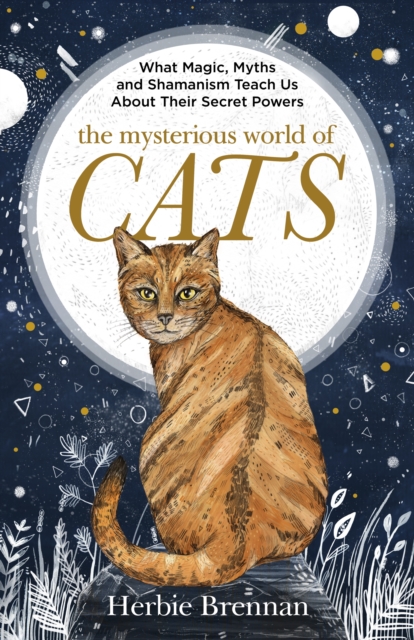 Mysterious World of Cats